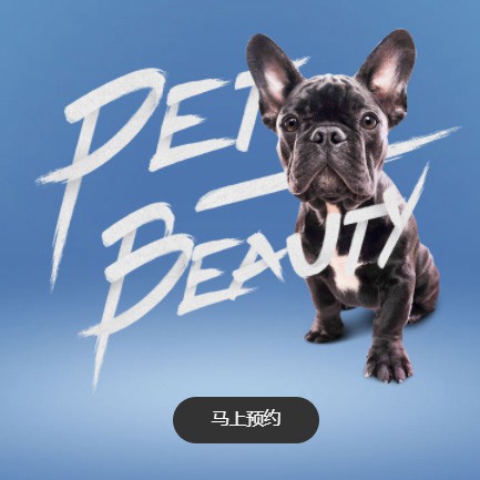 梨树宠物中心小程序开发